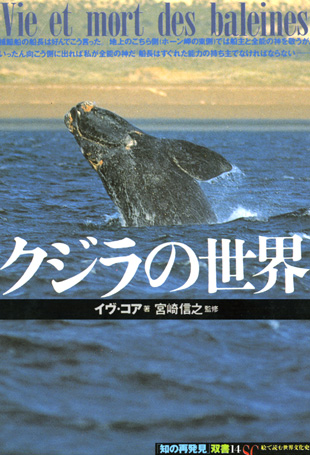 『クジラの世界』
